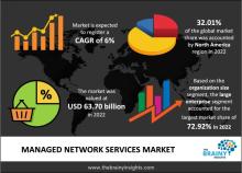 Managed Network Services Market