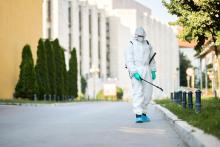 Pest control services