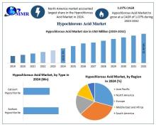 Hypochlorous Acid Market Size is projected to grow at a CAGR of 1.07%, reaching USD 20.49 million by 2032, driven by demand in textile and water treatment industries.