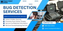 Bug Detection services in Agra