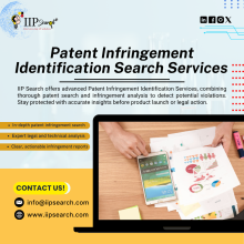 Patent Infringement Identification Search Services