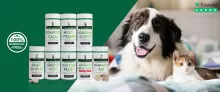 dog vitamins
