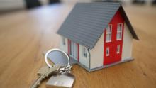 student roommate finder