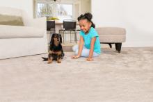 dog and girl after carpet cleaning in newport beach ca