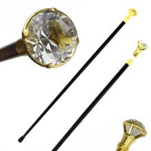 walking stick