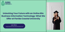 online BSc business information technology