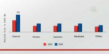 Dry Bulk Shipping Market
