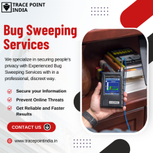 Bug Sweeping Services 