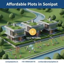 Sonipat township land