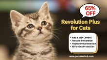 Save 65% OFF on Revolution Plus for Cats - Limited Time Offer!