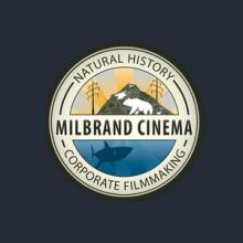 Video Production Services
