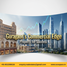 Commercial Land Dwarka Expressway