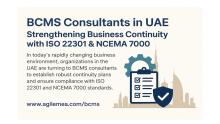 A complete guide explaining the importance of BCMS consultants in UAE, how ISO 22301 strengthens continuity planning, and why organizations must align with NCEMA 7000 standards. Ideal for UAE businesses aiming to enhance resilience and compliance.