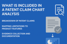 Patent Claim Chart Services 