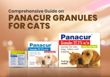 Panacur Granules for Cats - Now 30% Off + Free Shipping