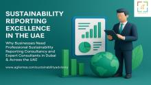 A detailed guide on why UAE businesses need expert sustainability reporting consultancy and professional consultants in Dubai and across the UAE to meet global ESG reporting standards and enhance organizational transparency.