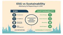 Discover the difference between ESG and sustainability, learn how ESG and sustainability consulting supports better reporting, and understand whether ESG reporting is mandatory in the UAE with this comprehensive guide for UAE businesses.
