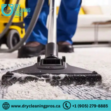 Carpet Cleaning, Rug Cleaning, Area Rug Cleaning