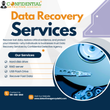Data Recovery Services 