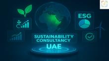 A comprehensive blog explaining how leading sustainability and ESG consultancies in the UAE support businesses through strategic planning, reporting, and long term sustainability development.