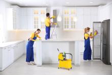 eco cleaning
