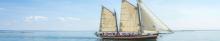 Buy Sails Online