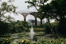 singapore honeymoon tours too perfect for couples
