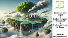 Carbon footprint Consultant