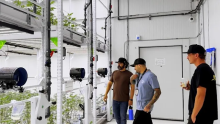 gmp facility certification