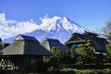 Japan Tour Packages Feel Quiet In Unexpected Ways