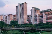 Singapore Honeymoon Tours Make Space For Quiet Moments