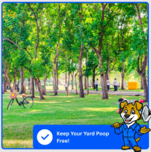 Commercial pet waste removal