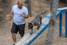Dog Trainer in Patna