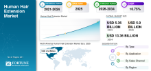 Human Hair Extension, Human Hair Extension Industry, Human Hair Extension Market, Human Hair Extension Market Size, Human Hair Extension Market Share, Human Hair Extension Market Trends, Human Hair Extension Market Growth, Human Hair Extension Market Demand