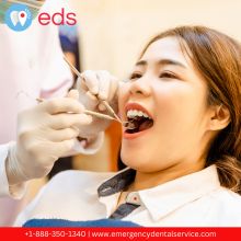 Emergency Dental, Emergency Dental Care, Dental Emergency, 24 Hour Dentist, Emergency Dentist Open 24 Hours, 24 Hour Emergency Dentists