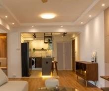 renovation expert