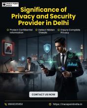 Privacy and Security Provider in Delhi