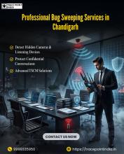 Professional Bug Sweeping Services in Chandigarh