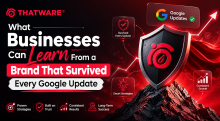 Brand surviving Google updates with advanced SEO strategy and AI-driven search growth