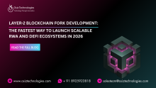 Blockchain Development Company | Osiz