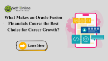 Fusion Financials Online Training, Oracle Fusion Financials Course, Oracle Fusion Financials Training, Oracle Fusion Financials Online Training