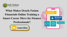 Fusion Financials Online Training, Oracle Fusion Financials Course, Oracle Fusion Financials Training, Oracle Fusion Financials Online Training