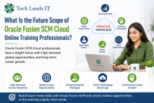 Fusion SCM Training