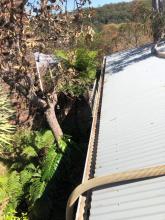 gutter cleaning sutherland shire nsw