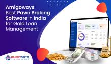 Best Pawn Broking Software in India for Gold Loan Management