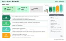 Electric Traction Motor Market