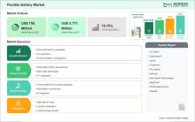 Flexible Battery Market