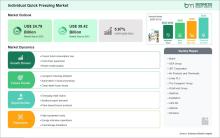 Individual Quick Freezing Market