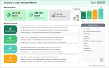 Industrial Oxygen Generator Market
