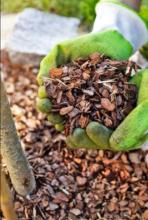 garden mulching Sydney